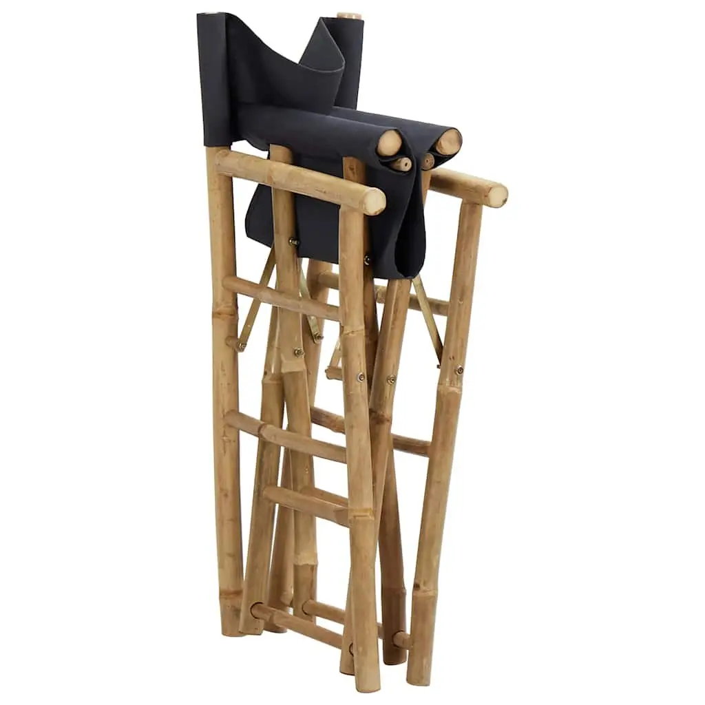 2 Grey Folding Director's Chairs
