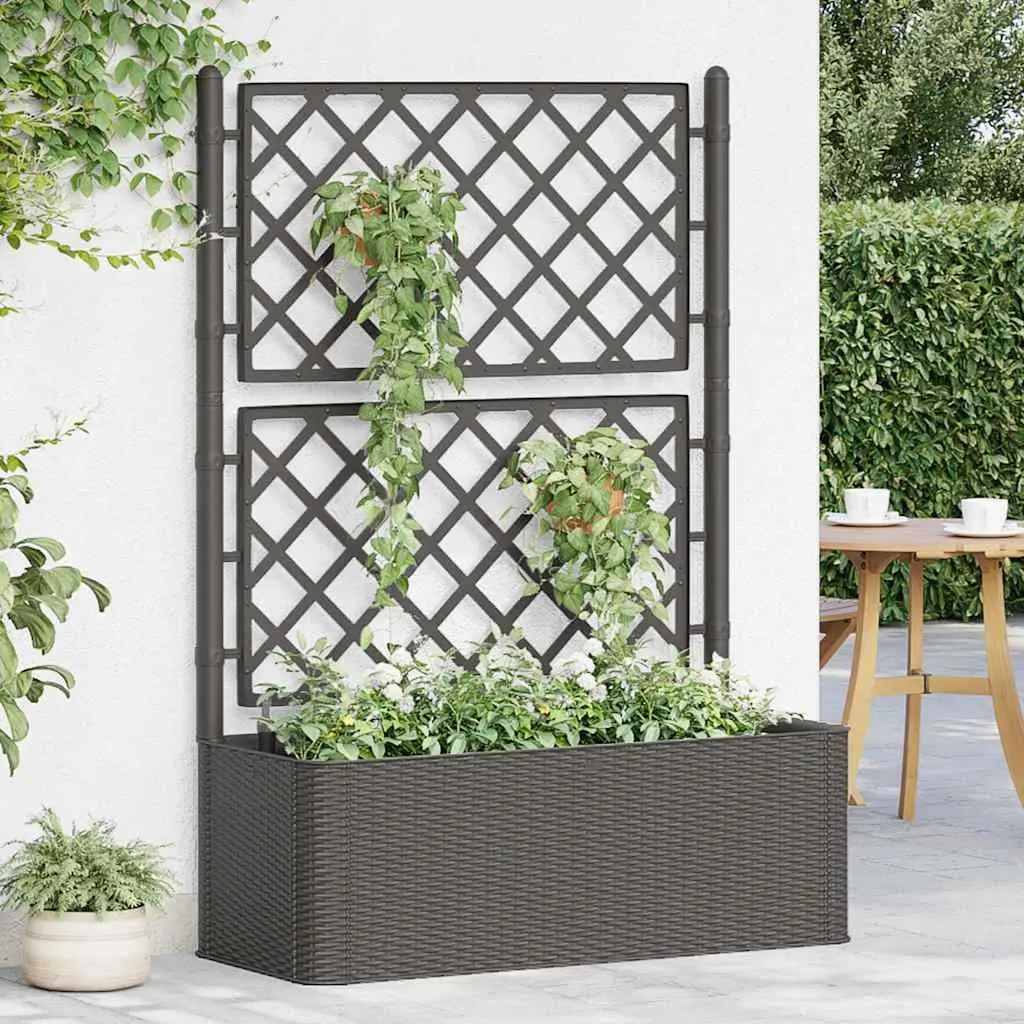 Raised Garden Bed with Trellis System