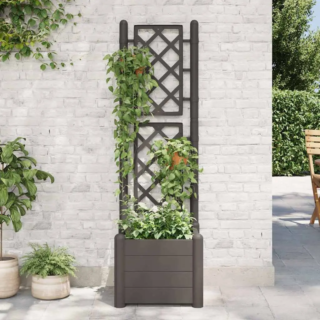 Garden Planter with Integrated Trellis and Spacious Flower Box