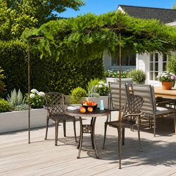 Garden Pergola Specifications: Wrought Iron Frame 3x3x2.5m