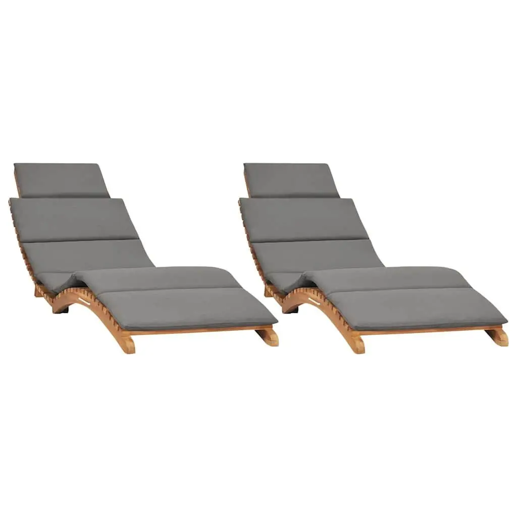 Sun Loungers for Garden 2 Piece with Cushions Ergonomic Adjustable Backrest Folding
