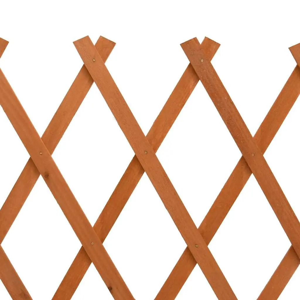 Garden Trellis Fence Panel 120x60cm