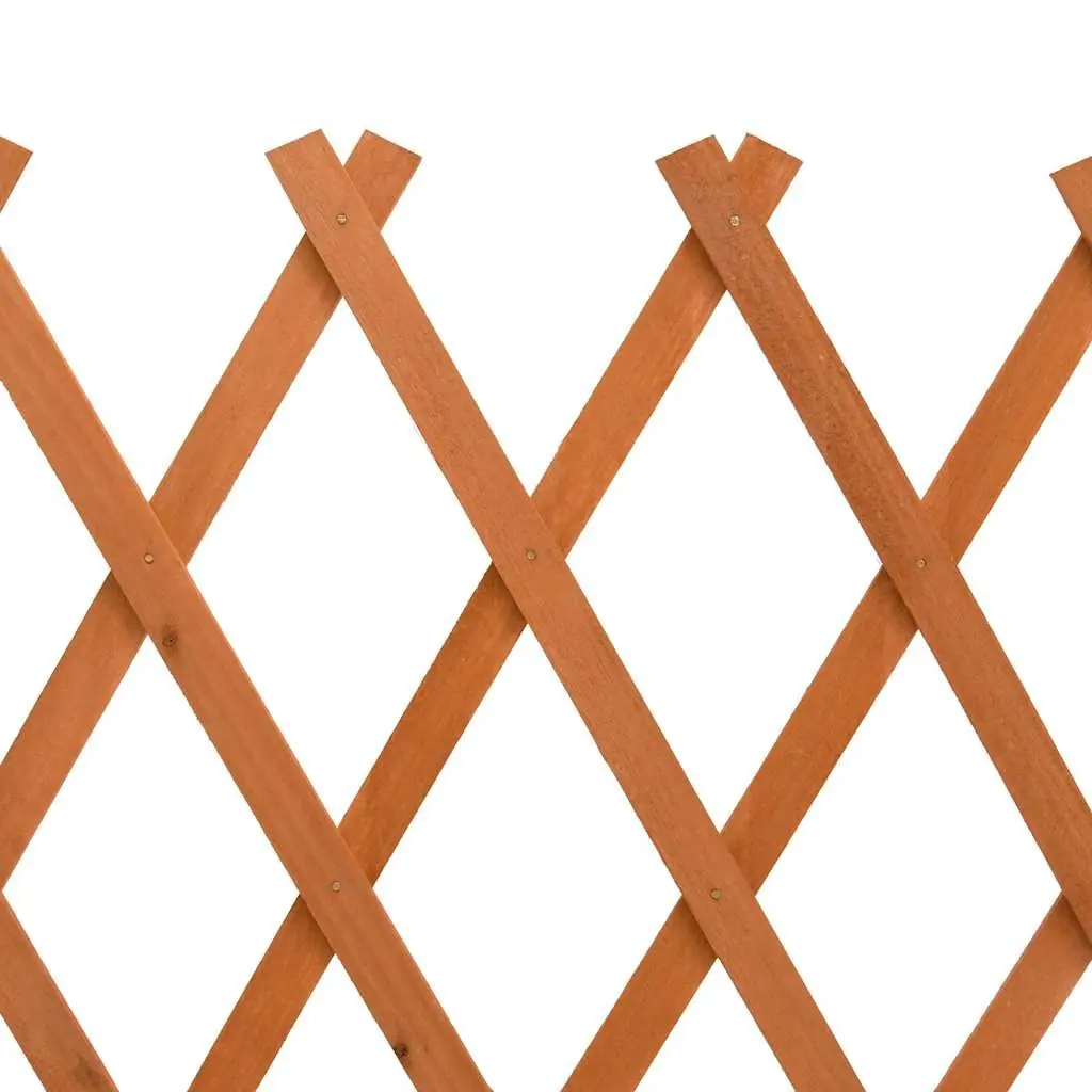 Wooden Expandable Trellis Fence Panel