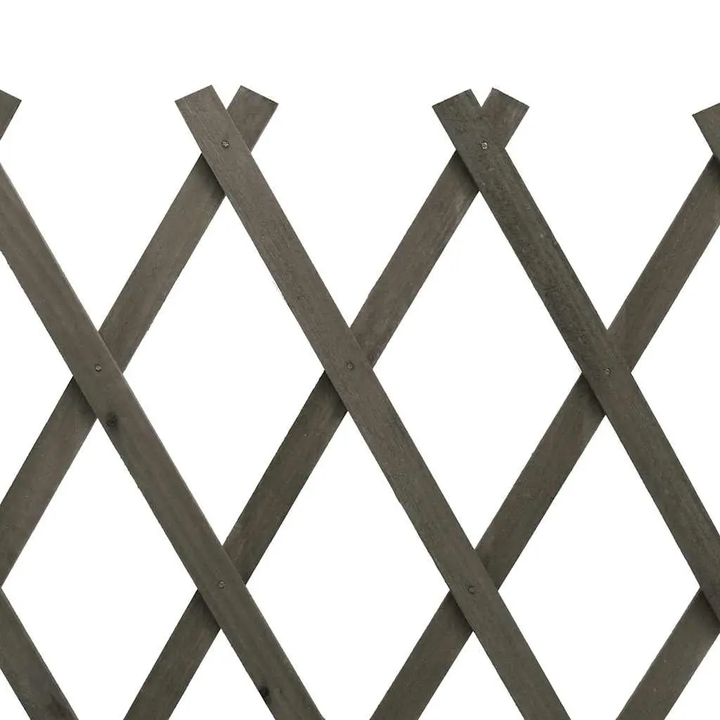 Garden Trellis Fence Panel Outdoor 150x80 cm Grey Expandable
