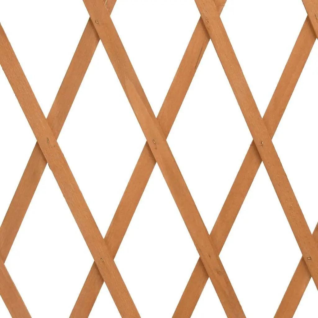Wooden Garden Trellis Fence Panel Expandable Outdoor Privacy Screen 180cm