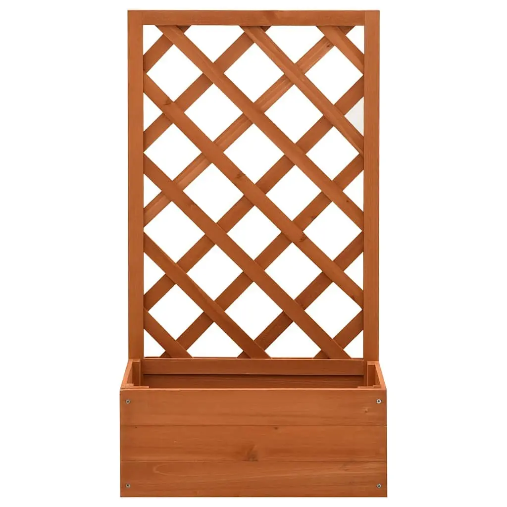 Garden Trellis Planter Outdoor 50x25x90 cm