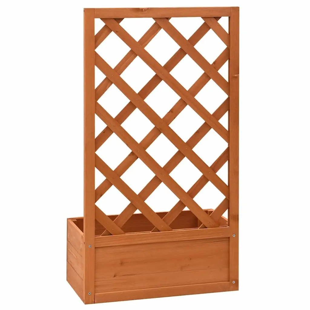 Garden Trellis Planter Outdoor 50x25x90 cm