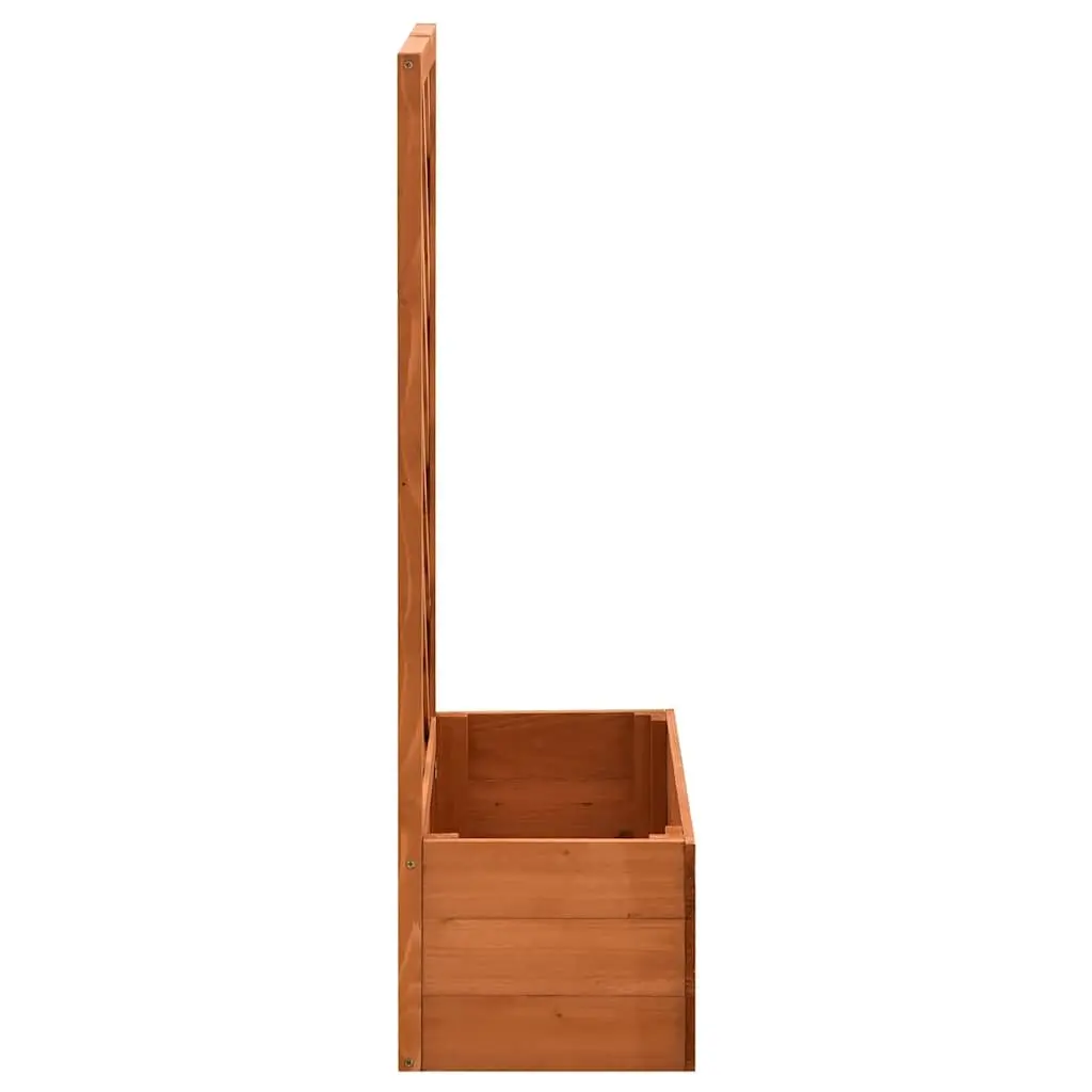 Garden Trellis Planter Outdoor 50x25x90 cm