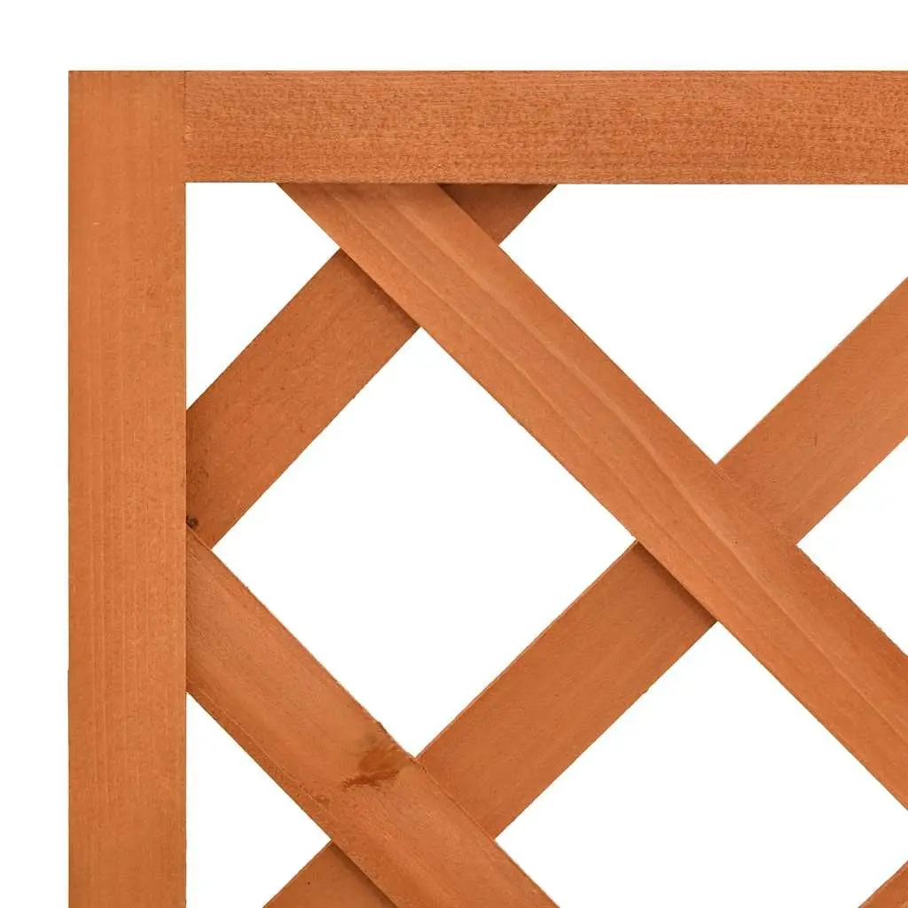 Garden Trellis Planter Outdoor 50x25x90 cm