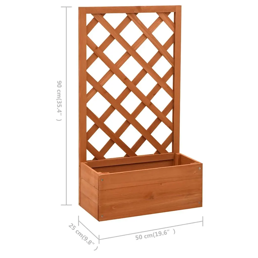 Garden Trellis Planter Outdoor 50x25x90 cm