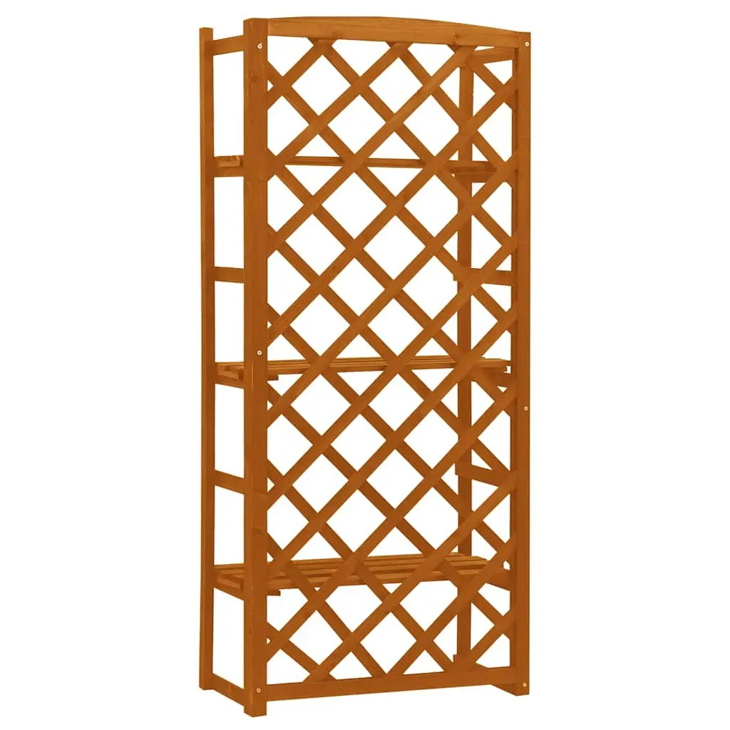 Plant Stand with Trellis for Garden 60x30x140 cm Wooden Shelves