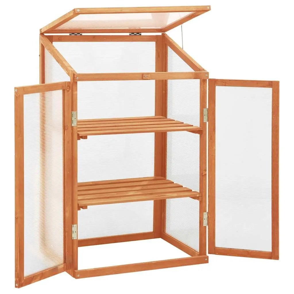 Wooden Greenhouse for Garden 60x45x100 cm Plant Shelter with 2 Shelves for Herbs Flowers