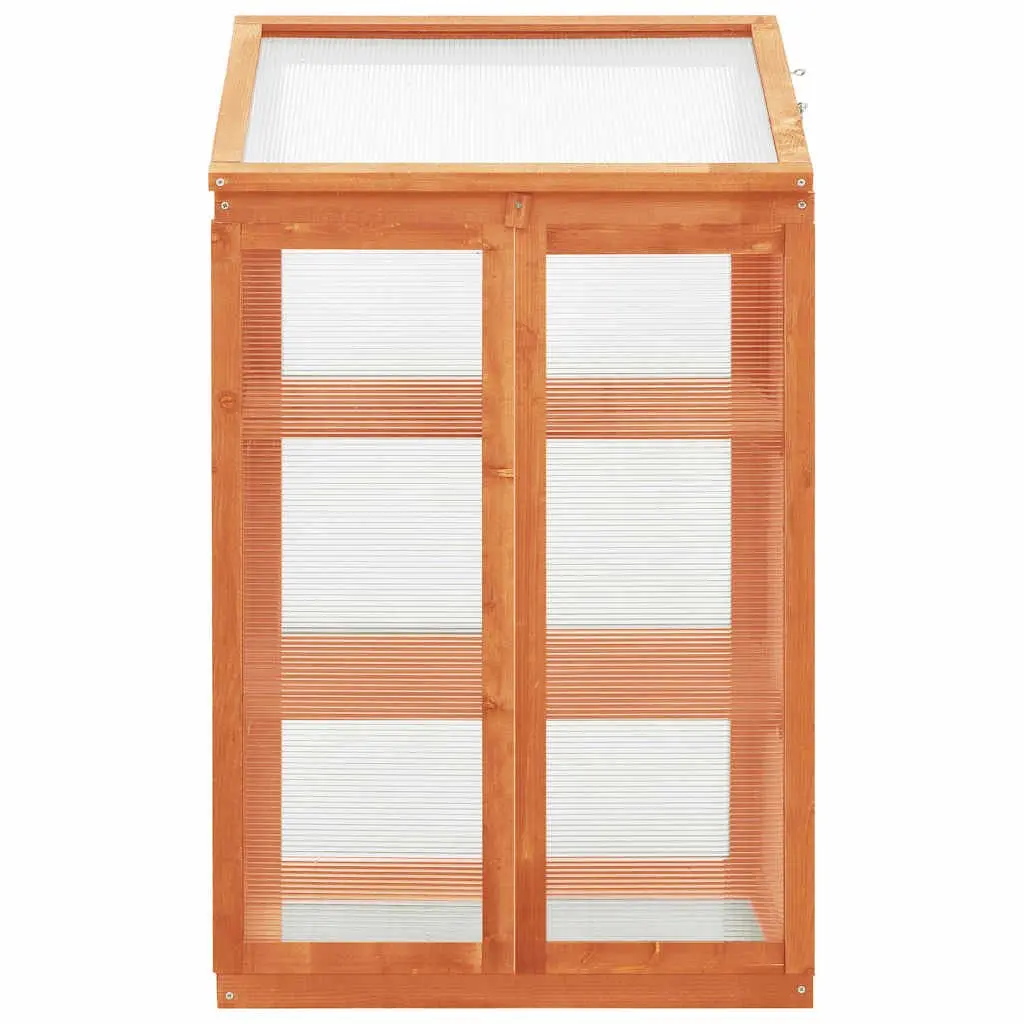 Wooden Greenhouse for Garden 60x45x100 cm Plant Shelter with 2 Shelves for Herbs Flowers