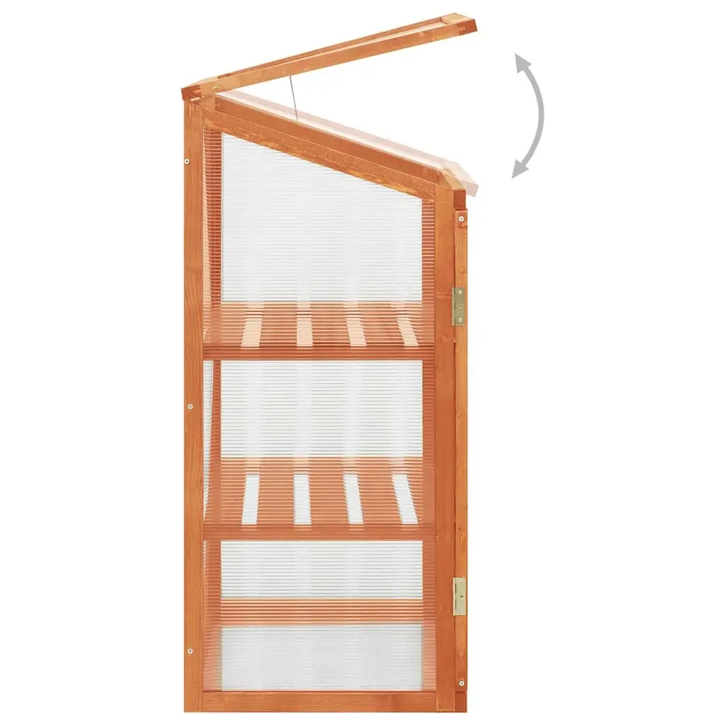 Wooden Greenhouse for Garden 60x45x100 cm Plant Shelter with 2 Shelves for Herbs Flowers
