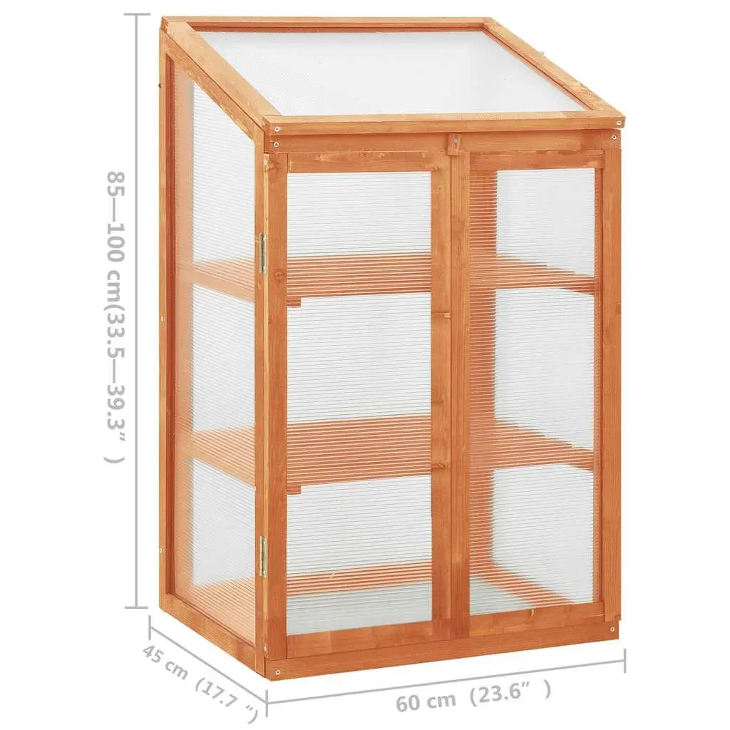 Wooden Greenhouse for Garden 60x45x100 cm Plant Shelter with 2 Shelves for Herbs Flowers
