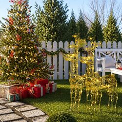 LED Reindeer Christmas Decorations - Specs & Details