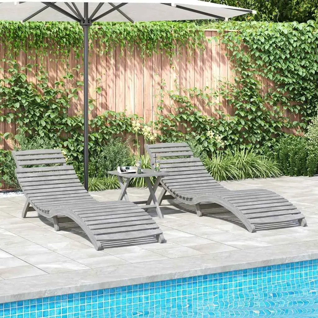 Sun Loungers for Outdoor Garden Patio 2 Piece Grey Foldable Relaxing Seat