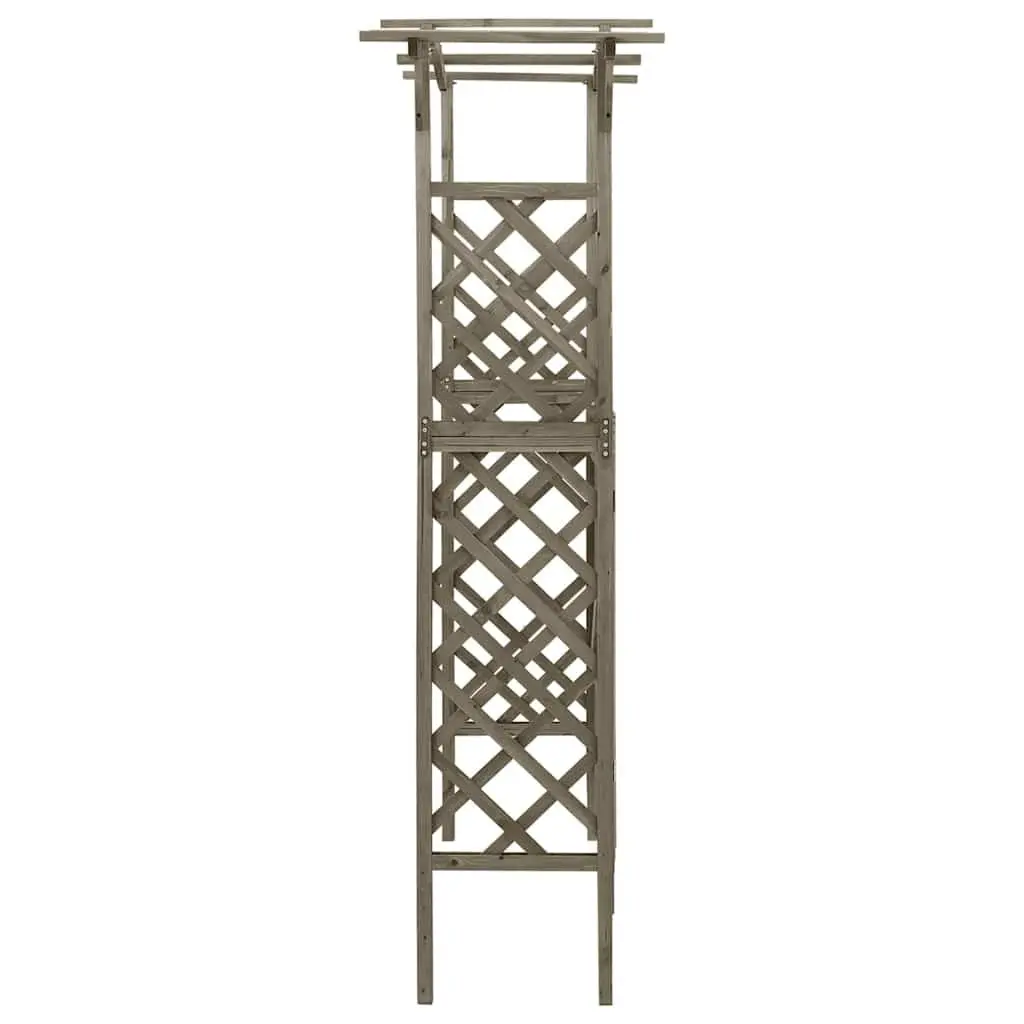 Garden Pergola with Gate Outdoor Arch Entrance 116x40x204 cm Grey