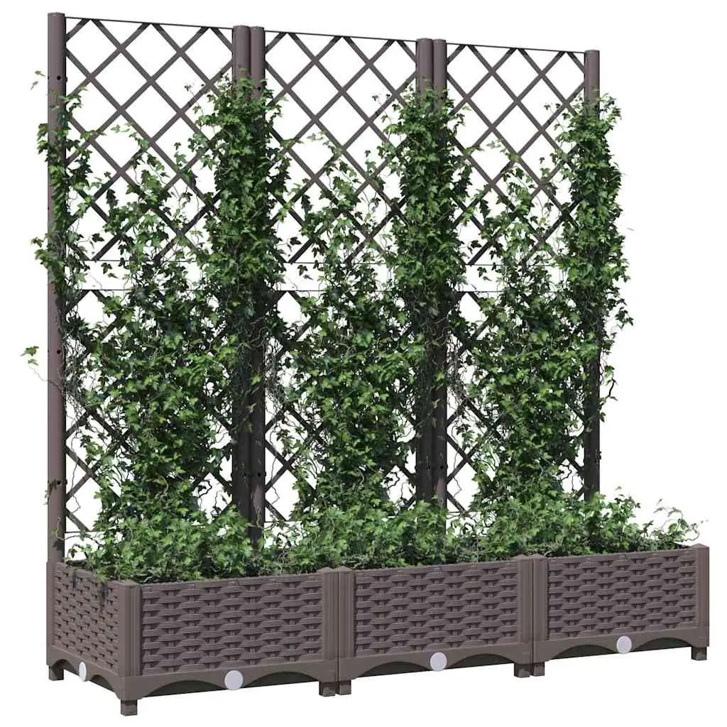 Garden Planter with Trellis for Outdoor Use 120 x 40 x 121.5 cm Brown