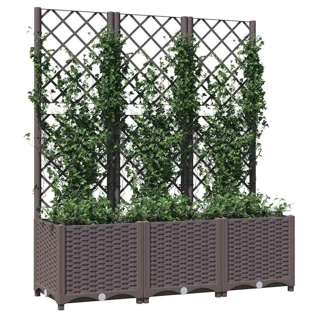 Garden Planter with Trellis for Outdoor Climbing Plants 120 x 40 x 136 cm Brown