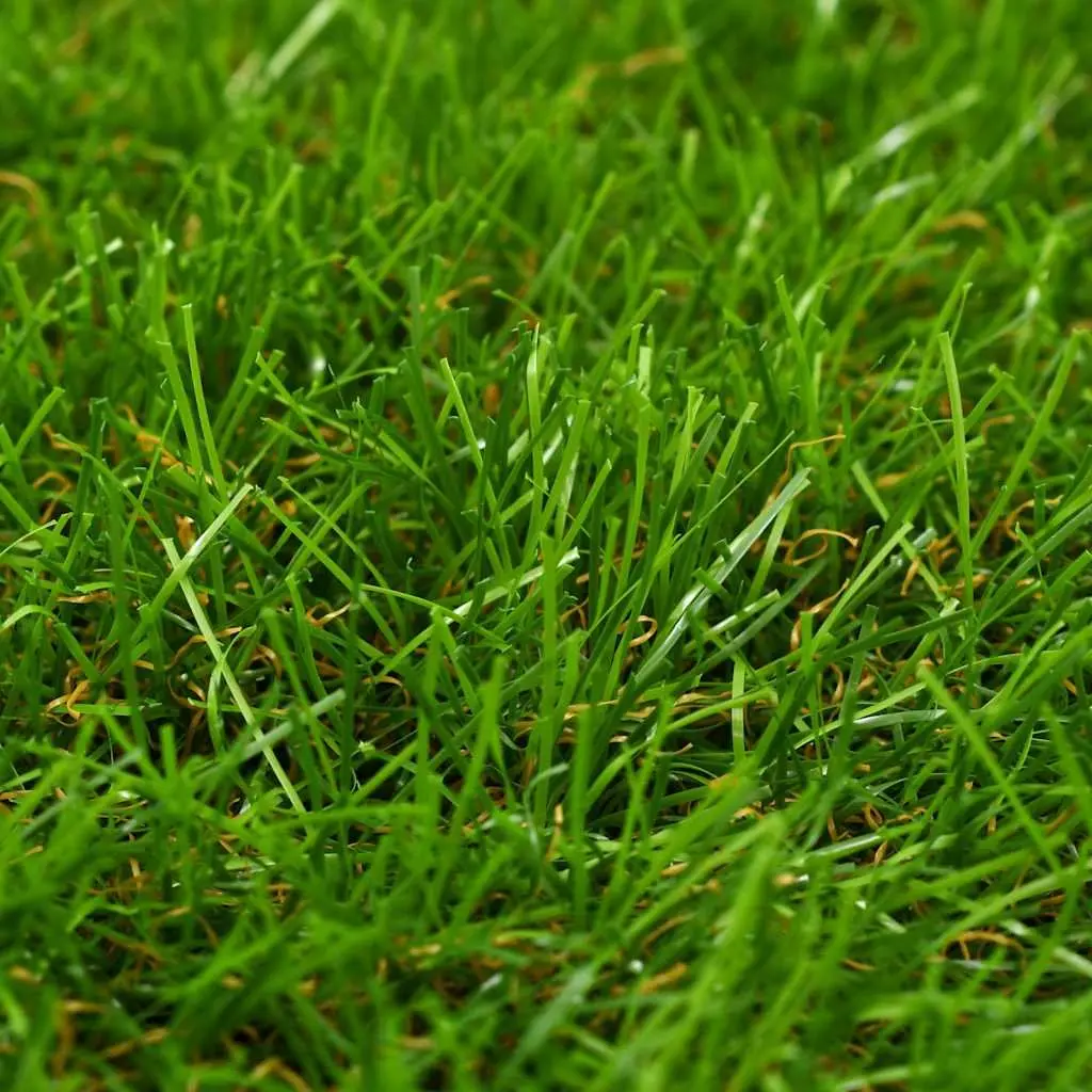 Artificial Grass Turf Mat 1x10m 40mm Thick Green Outdoor Garden Lawn Decoration