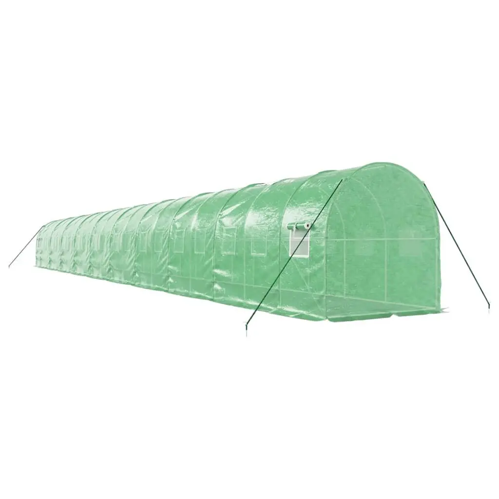 Greenhouse for Garden 20x2x2m Steel Frame PE Cover Portable