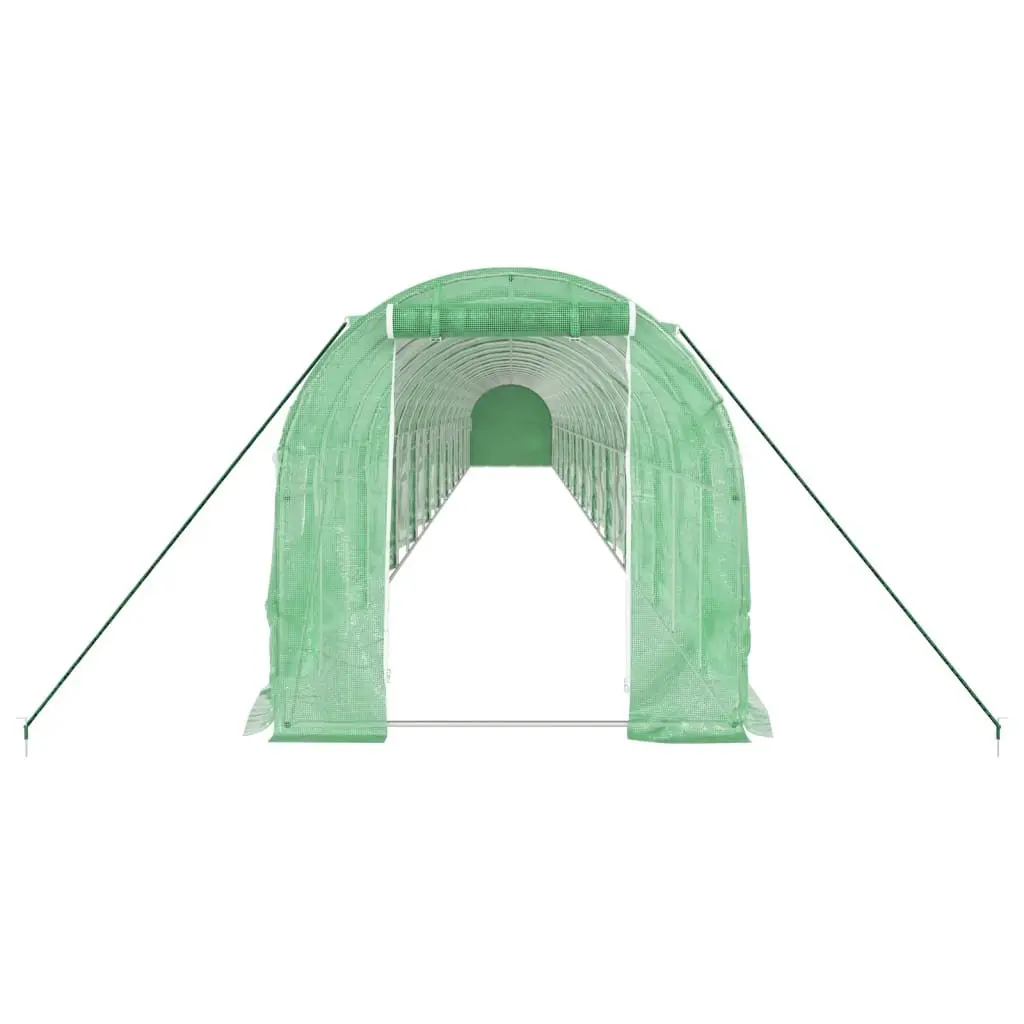 Greenhouse for Garden 22x2x2m Steel Frame PE Cover Green