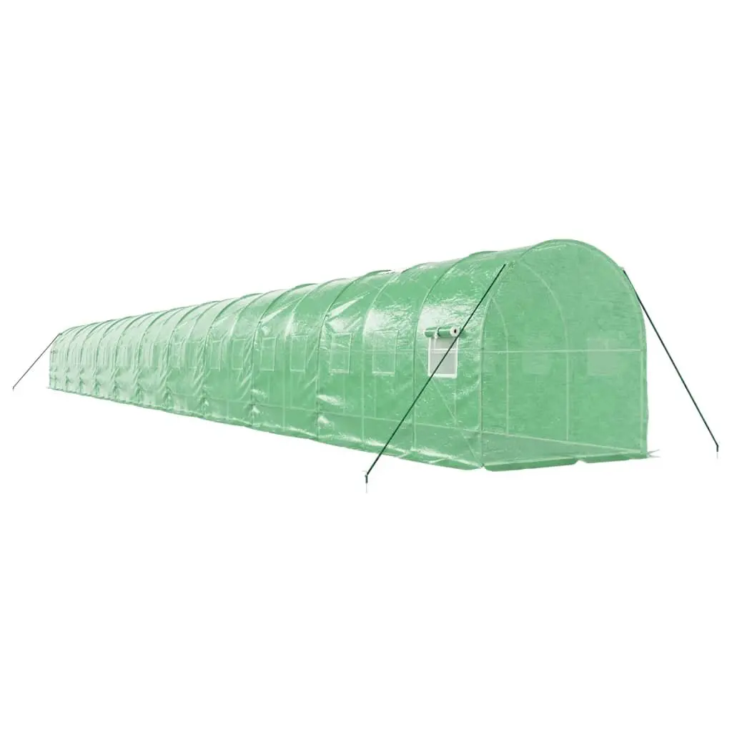 Greenhouse for Garden 22x2x2m Steel Frame PE Cover Green