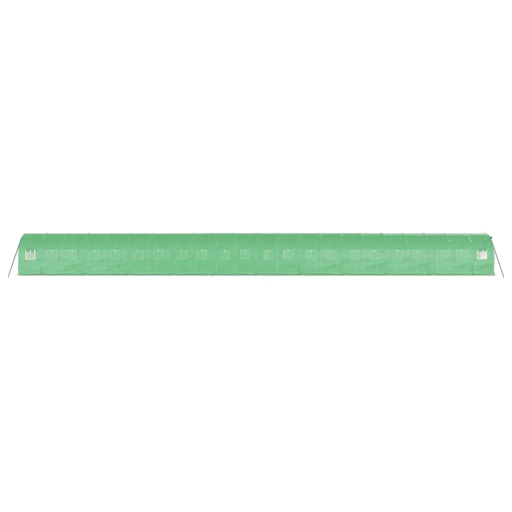 Greenhouse for Garden 22x2x2m Steel Frame PE Cover Green