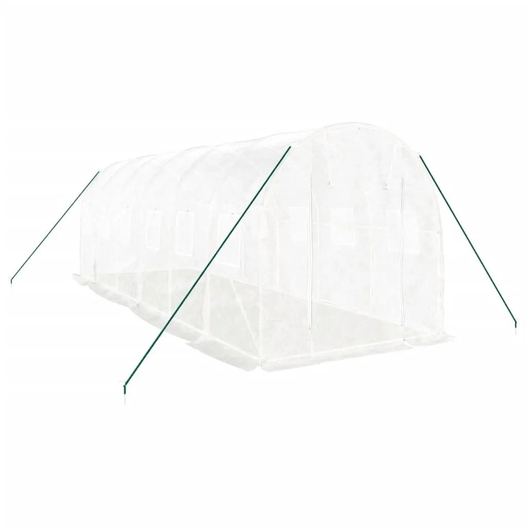 Greenhouse Garden 6x2x2 m 12 m² Steel Frame PE Cover White