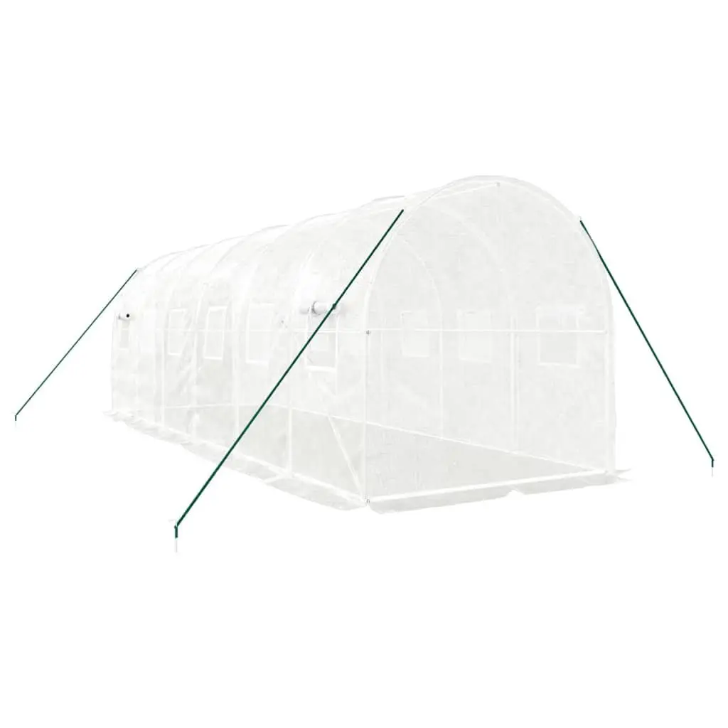 Greenhouse Garden 6x2x2 m 12 m² Steel Frame PE Cover White
