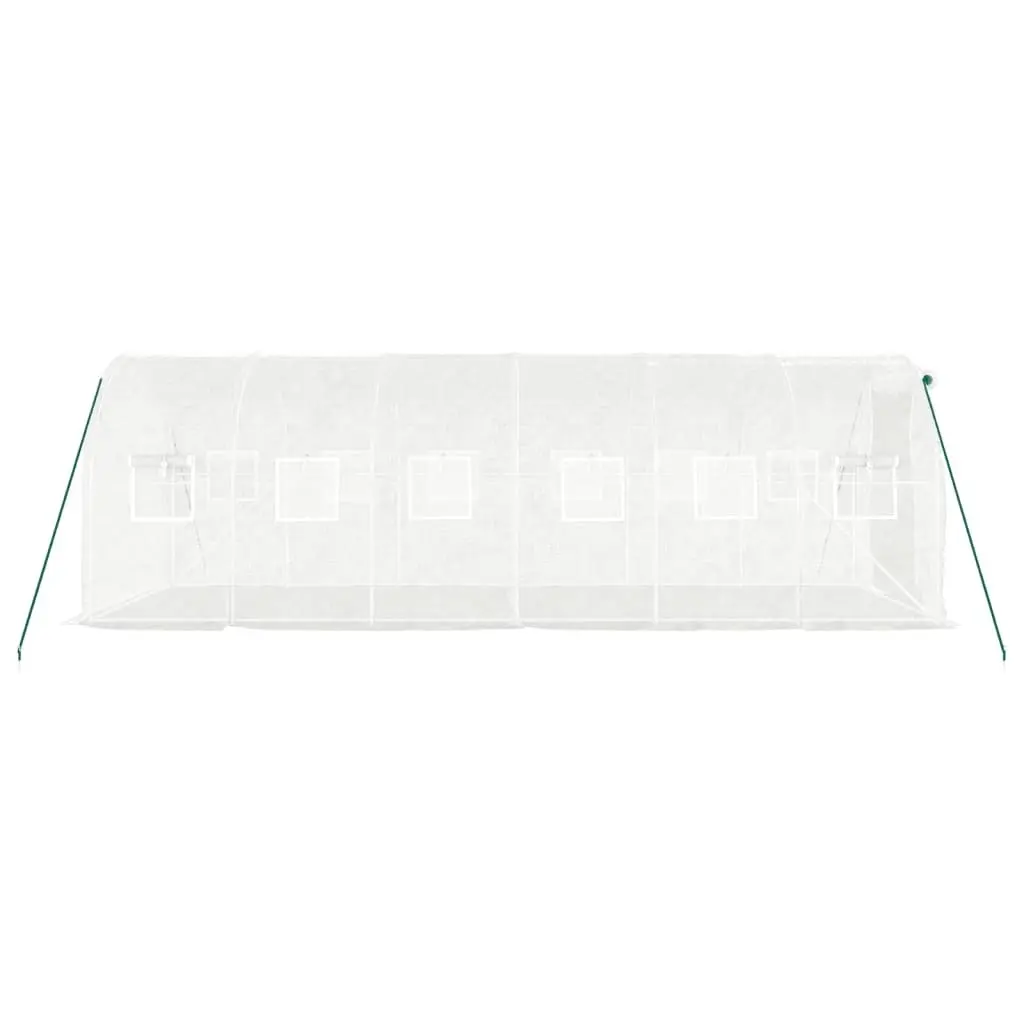 Greenhouse Garden 6x2x2 m 12 m² Steel Frame PE Cover White