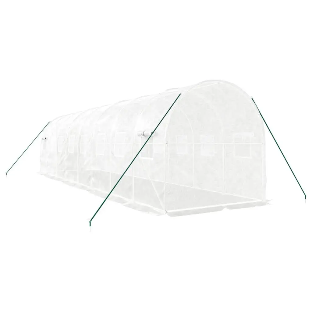 Greenhouse Outdoor 8x2x2m Steel Frame White
