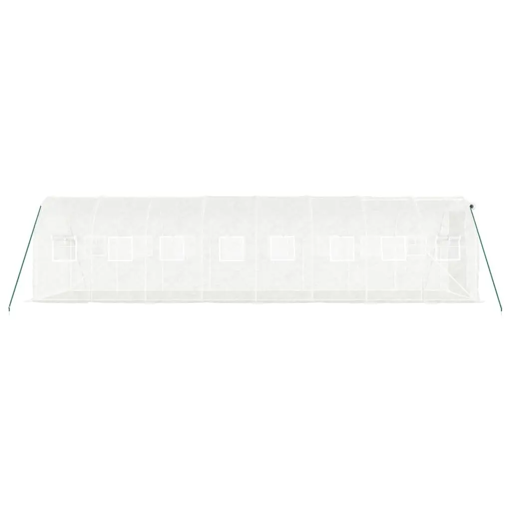 Greenhouse Outdoor 8x2x2m Steel Frame White