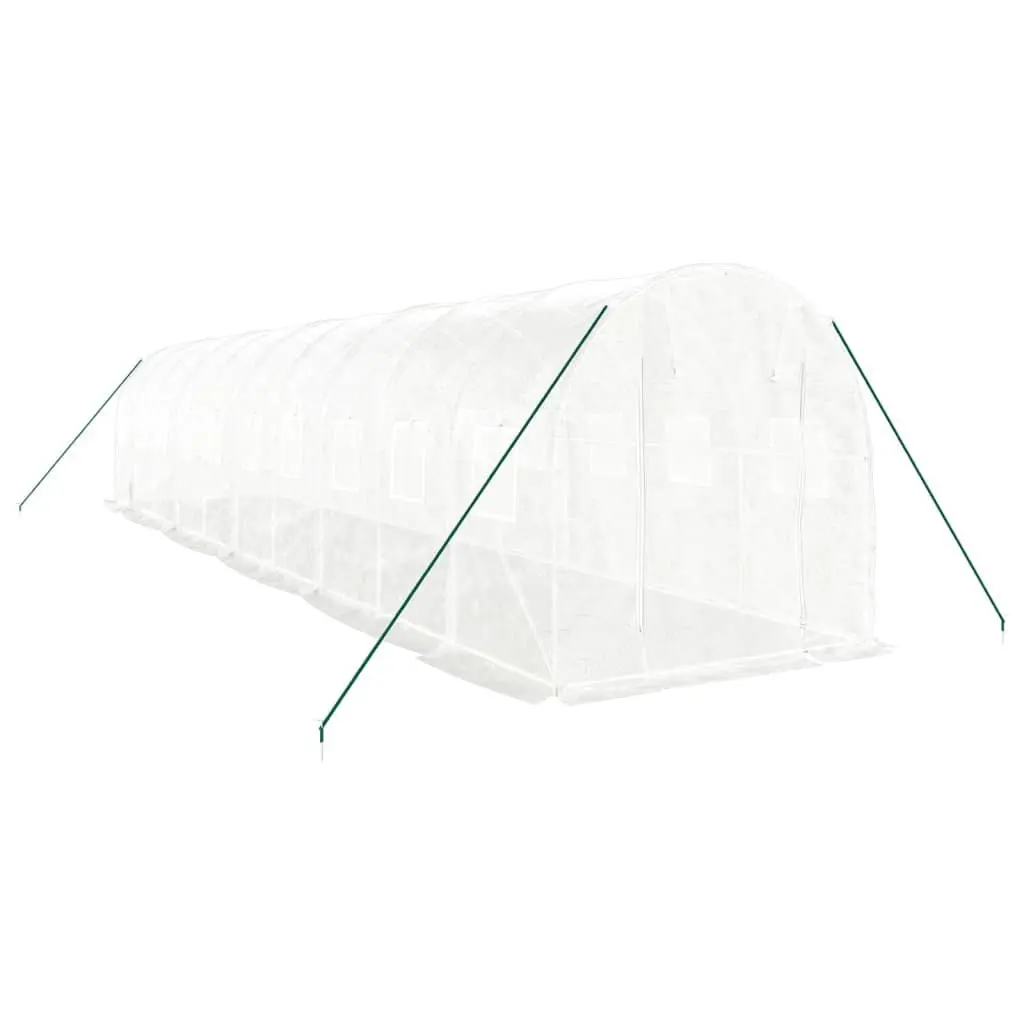 Greenhouse for Garden 10x2x2 m White 20 m² Steel Frame Zippered Roll-Up Door Mesh