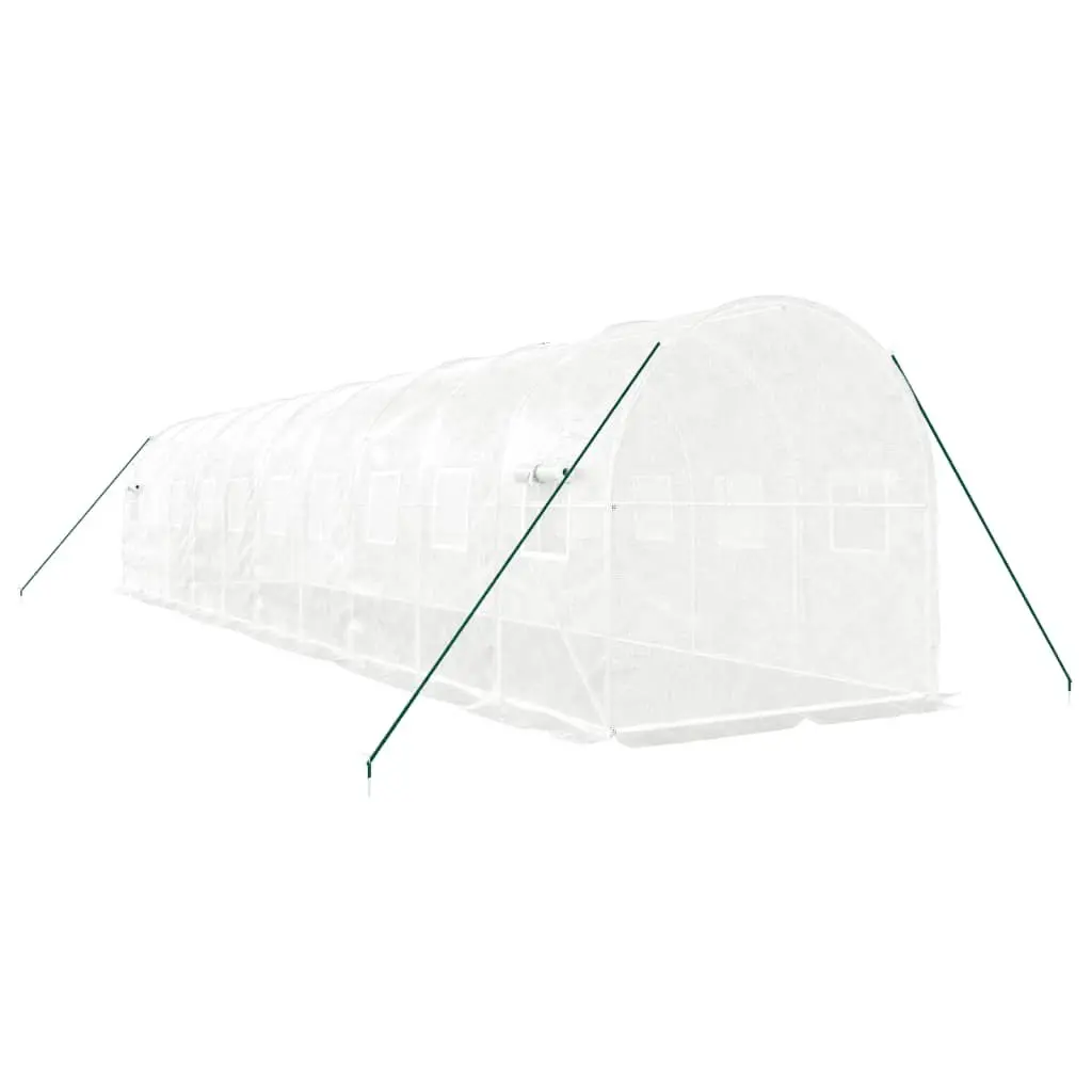Greenhouse for Garden 10x2x2 m White 20 m² Steel Frame Zippered Roll-Up Door Mesh