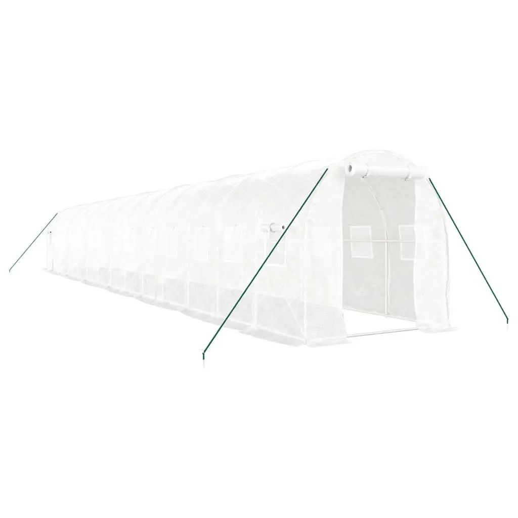Greenhouse 14x2x2m with Steel Frame