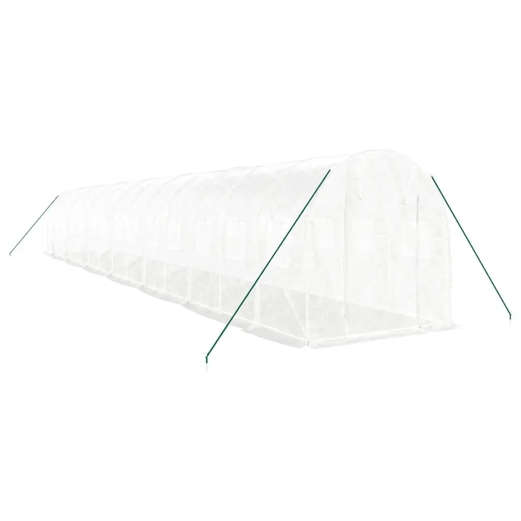 Greenhouse 14x2x2m with Steel Frame