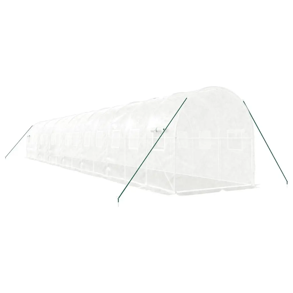 Greenhouse 14x2x2m with Steel Frame
