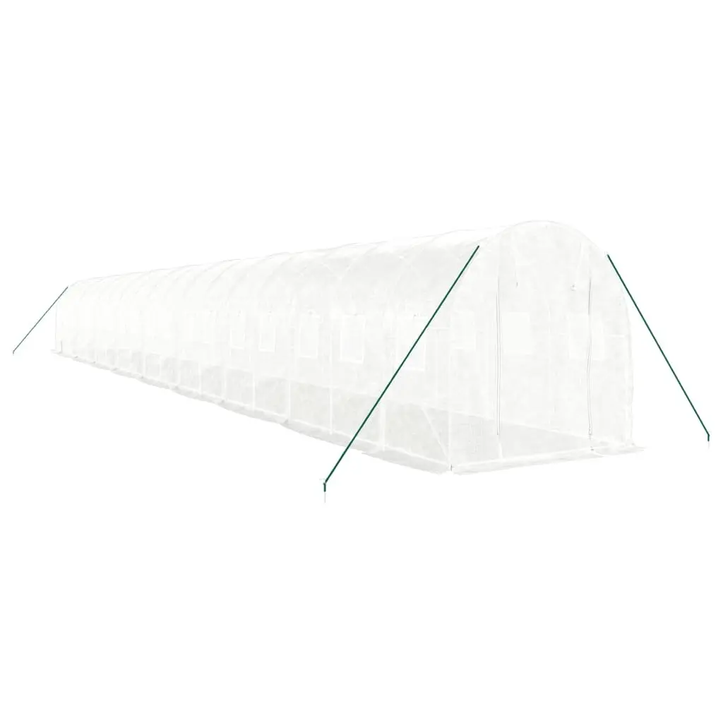 Greenhouse for Garden 36 m² White 18x2x2 m Steel Frame Plant House