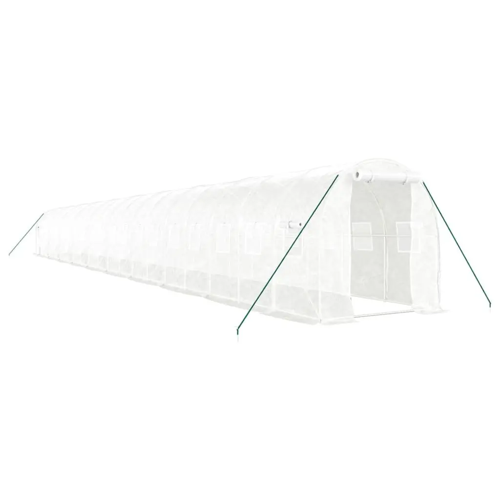 Greenhouse Outdoor 20x2x2m Steel Frame PE Cover