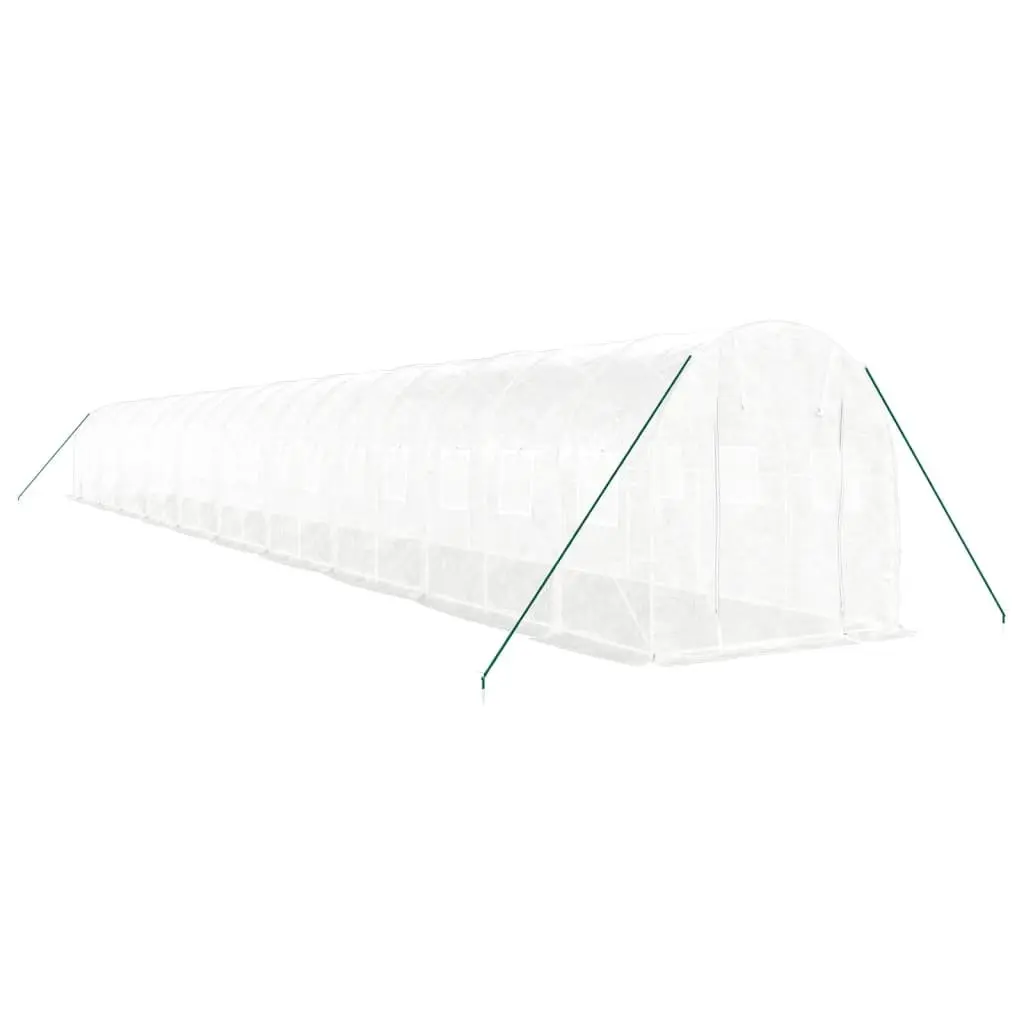 Greenhouse Outdoor 20x2x2m Steel Frame PE Cover