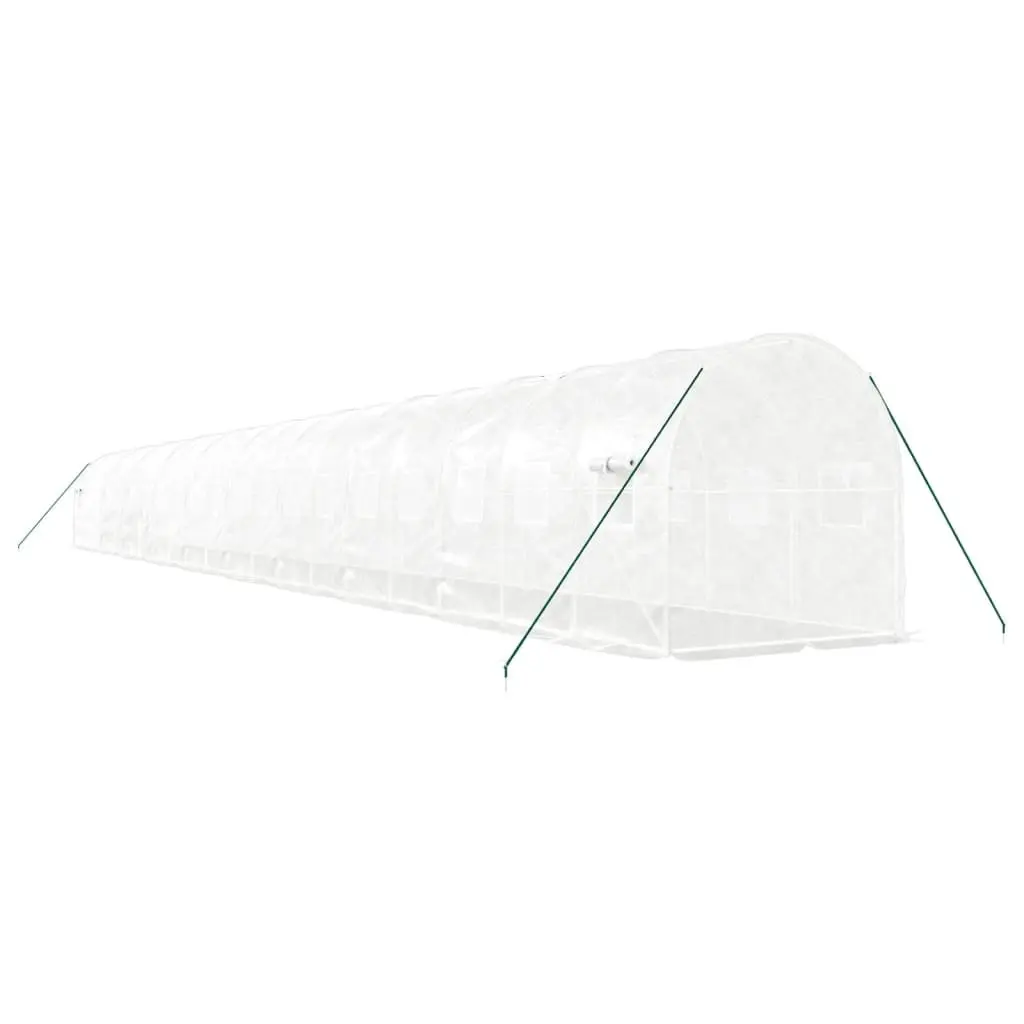 Greenhouse Outdoor 20x2x2m Steel Frame PE Cover