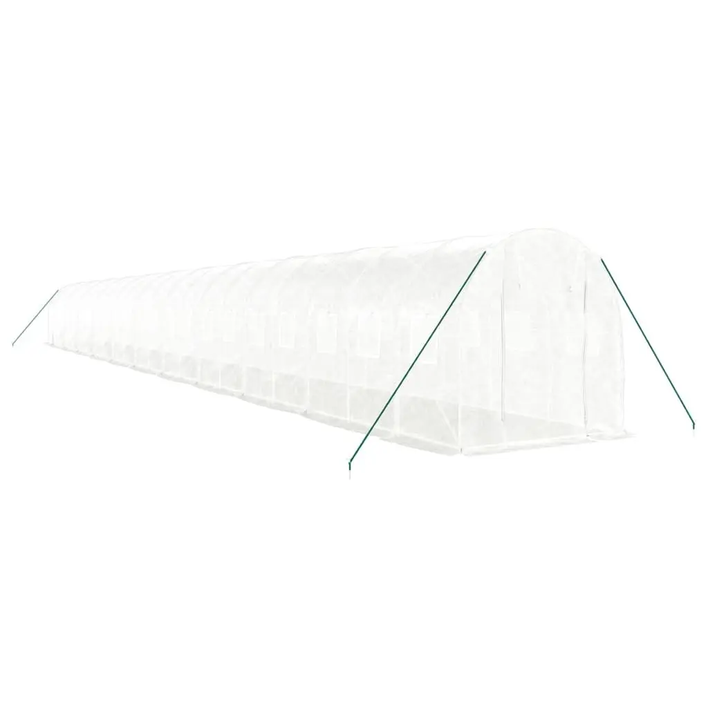 Greenhouse with Steel Frame White 44 m² 22x2x2 m Tunnel Garden Plant House