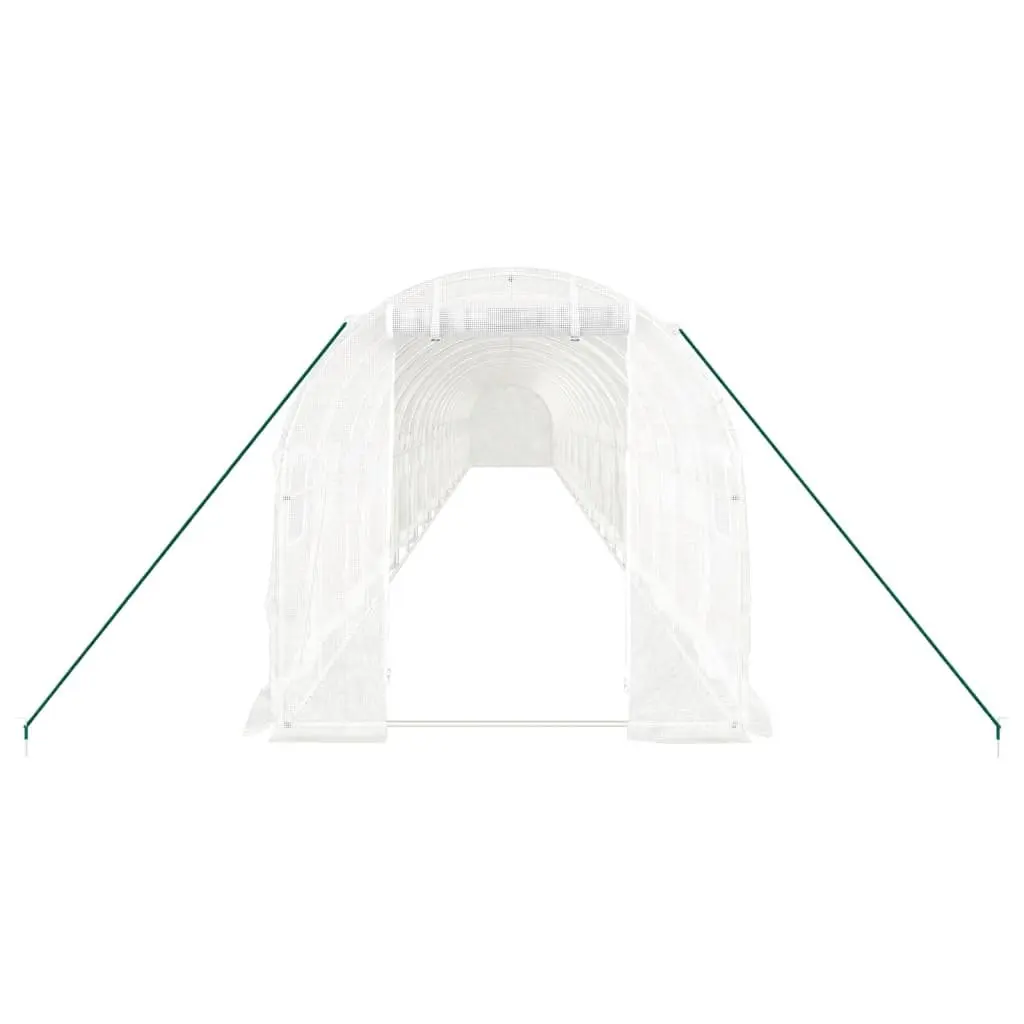 Greenhouse with Steel Frame White 44 m² 22x2x2 m Tunnel Garden Plant House