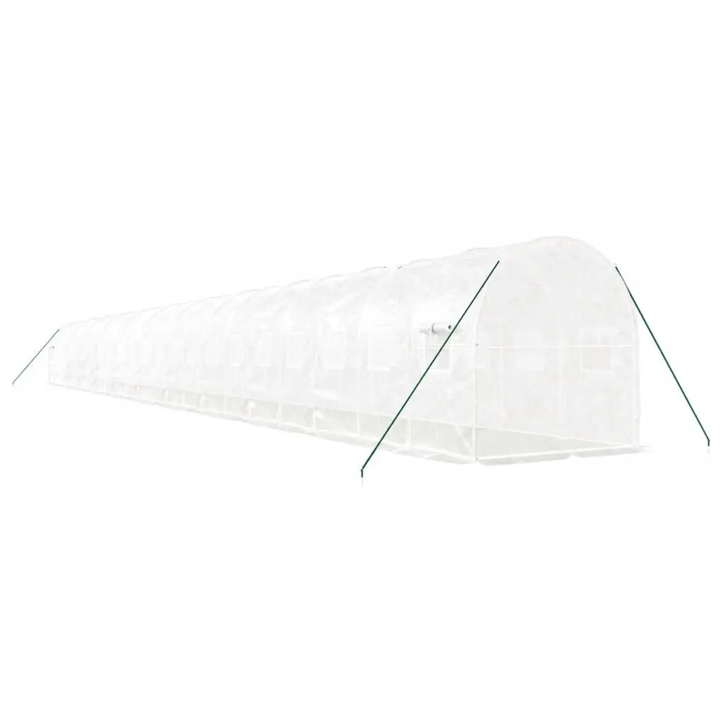 Greenhouse with Steel Frame White 44 m² 22x2x2 m Tunnel Garden Plant House