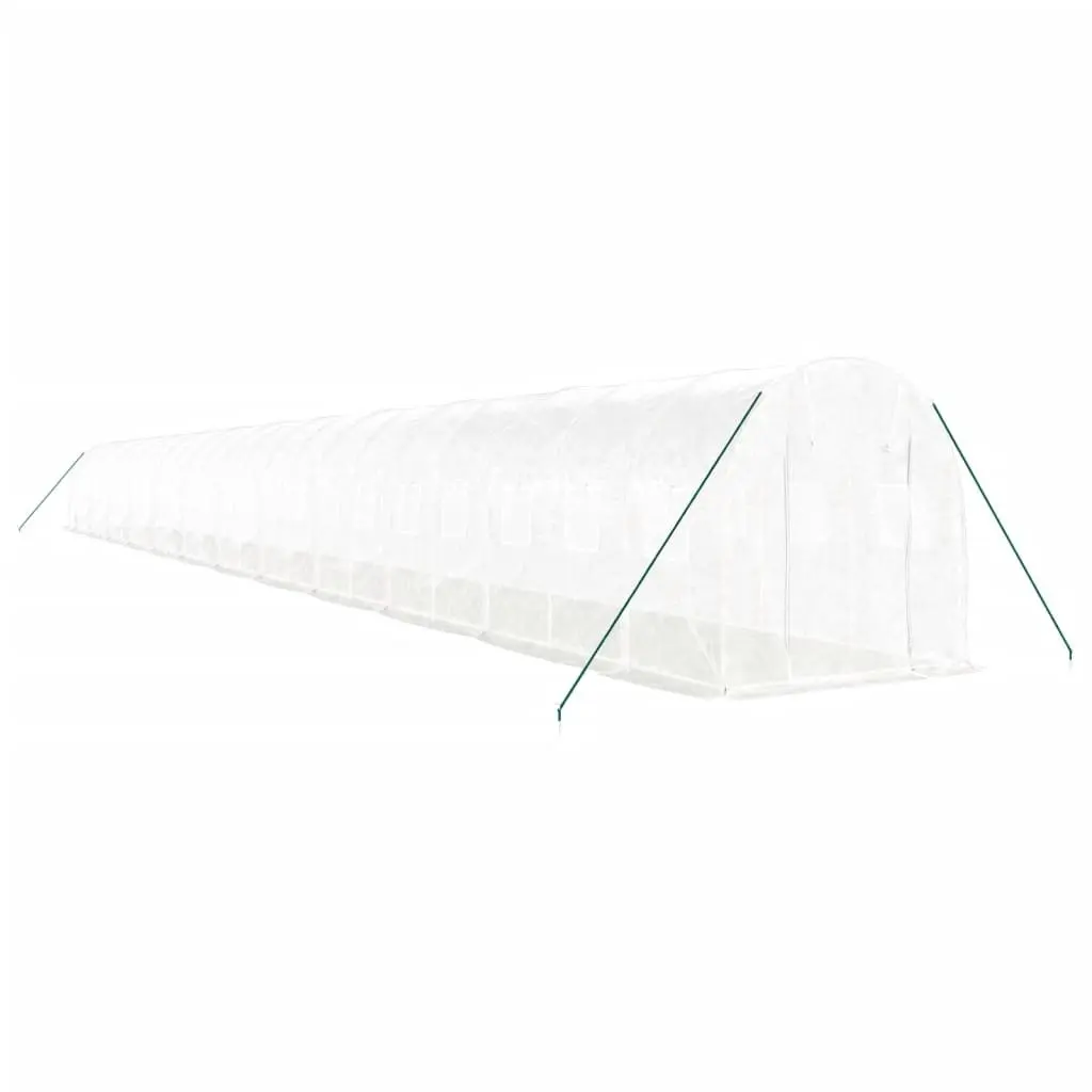 Greenhouse for Garden 24x2x2m Steel Frame White
