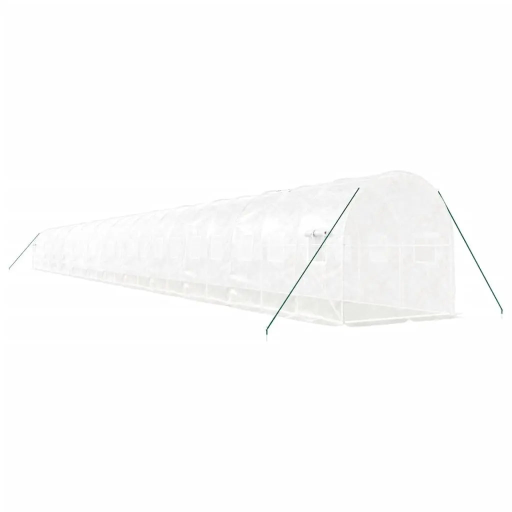 Greenhouse for Garden 24x2x2m Steel Frame White
