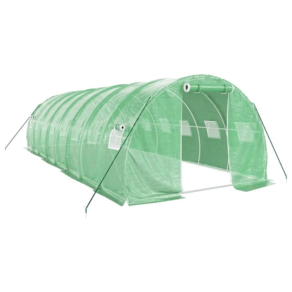Greenhouse for Outdoor Garden 8x3x2 m