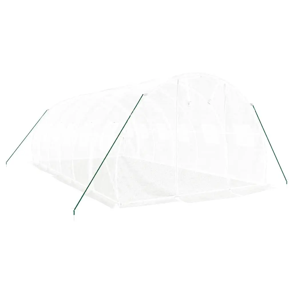 Greenhouse for Garden 6x3x2m Steel Frame PE Cover